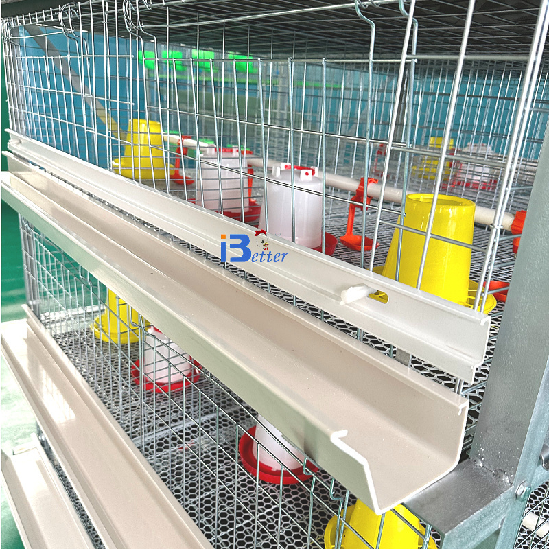 Hejian Better Chicken cage for broiler H type with automatic nipple drinking system