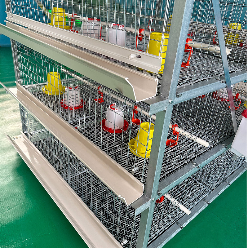 Hejian Better Chicken cage for broiler H type with automatic nipple drinking system