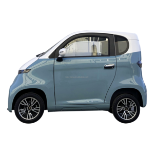 EEC Approved electric cars 2 seater mini electric car for adults for sale