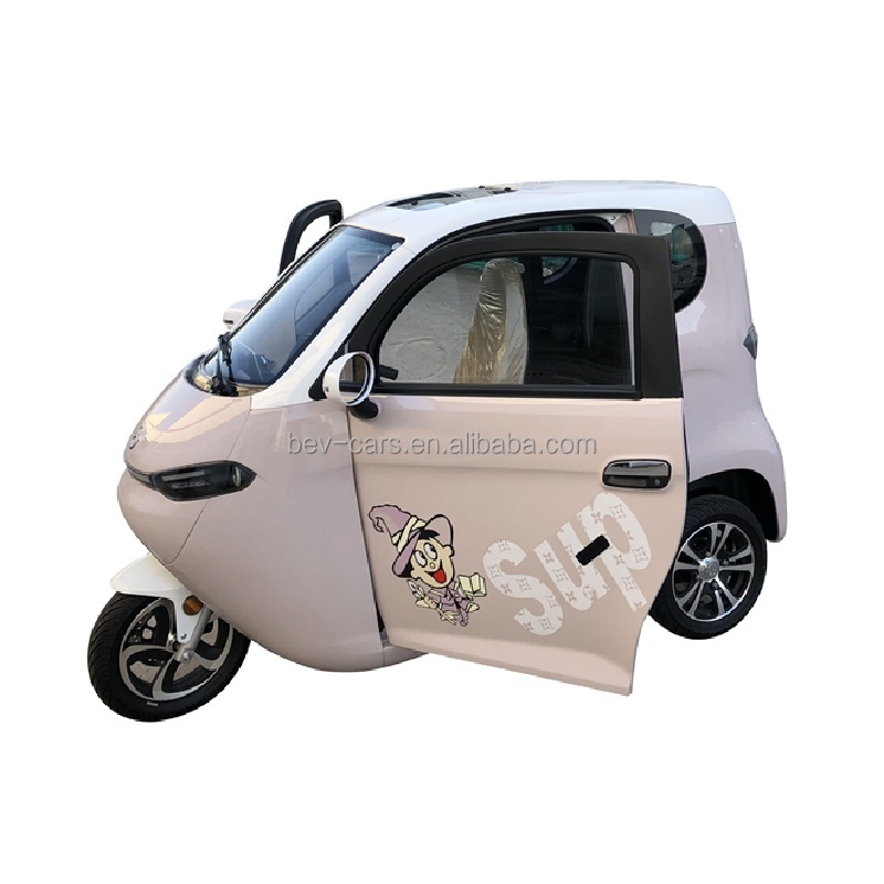 New brand design electric cars enclosed body electric tricycle China adult electric tricycle without driving licence