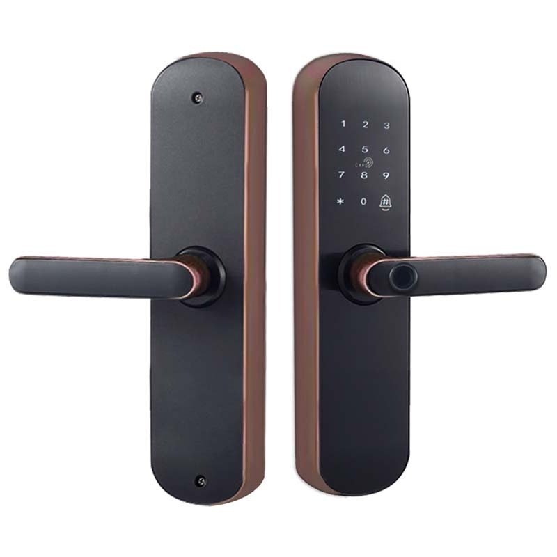 High-end TTLock App Biological Fingerprint Smart Door Lock WiFi Electronic Digital Code Lock 5572 mortise