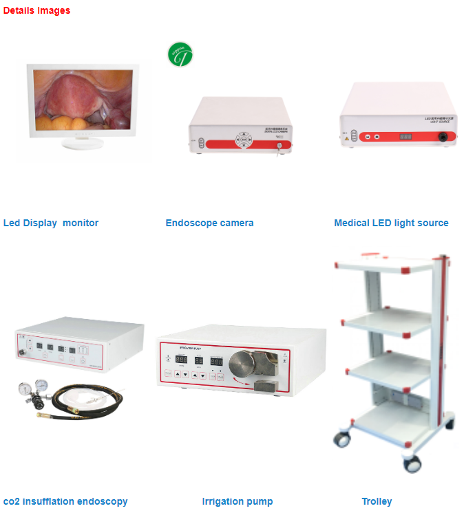 ent endoscopy set endoscope full hd camera system laparoscopic tower unit with LCD medical grade monitor