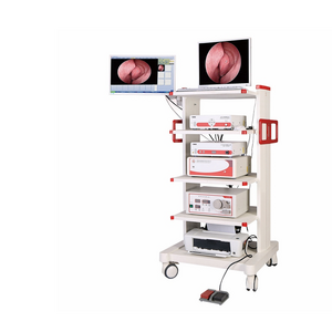 ent endoscopy set endoscope full hd camera system laparoscopic tower unit with LCD medical grade monitor