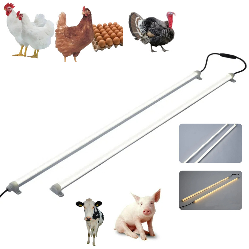 flicker free  ip67 waterproof led chicken farm shed tube lights dimmable led poultry light