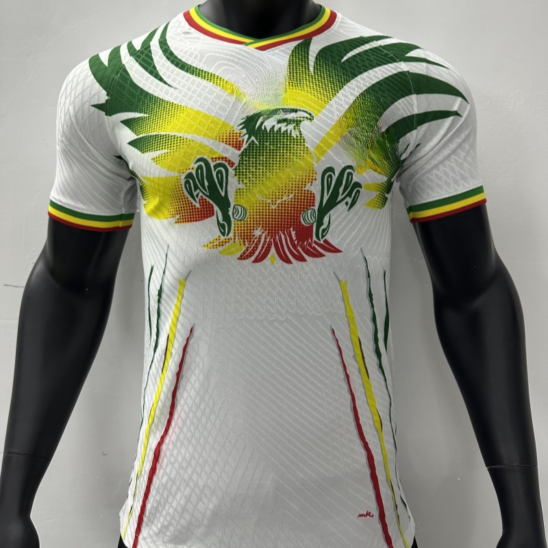 High Quality Player Version Jersey Custom Mali Football Club Maillot De Mali Foot Player Soccer Jersey