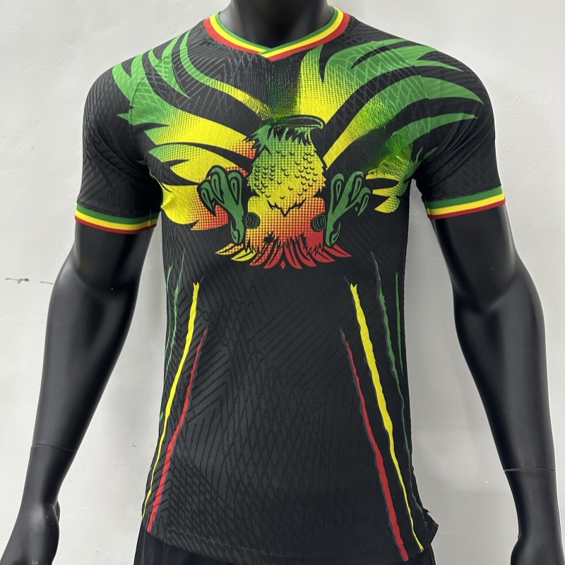 High Quality Player Version Jersey Custom Mali Football Club Maillot De Mali Foot Player Soccer Jersey