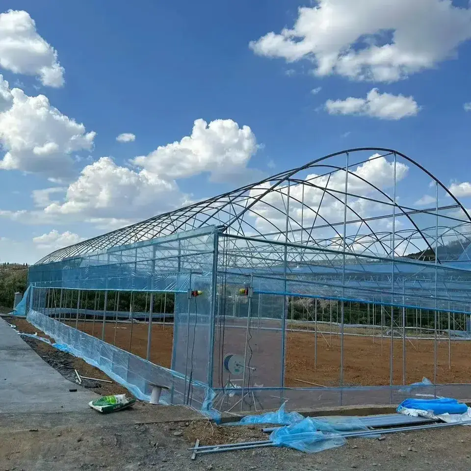 Agricultural aluminum Winter Vegetable Hot Galvanized Steel Frame Plastic Sheet Net Shade Agriculture Tunnel Green Houses