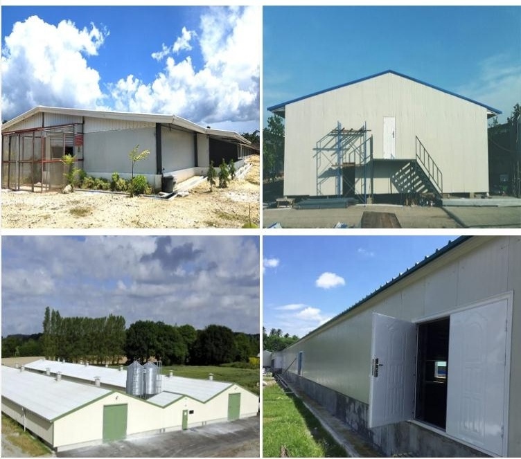 Steel structure fabricated layer poultry house cages for kenya farms goat farm sheds design