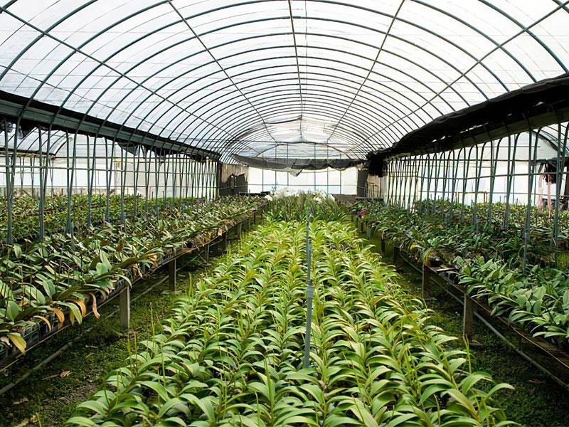 Agricultural aluminum Winter Vegetable Hot Galvanized Steel Frame Plastic Sheet Net Shade Agriculture Tunnel Green Houses