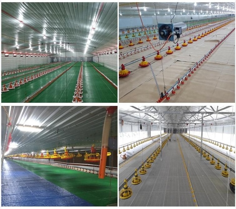 Steel structure fabricated layer poultry house cages for kenya farms goat farm sheds design