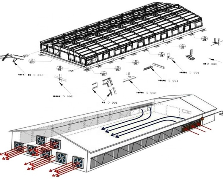 Steel structure fabricated layer poultry house cages for kenya farms goat farm sheds design