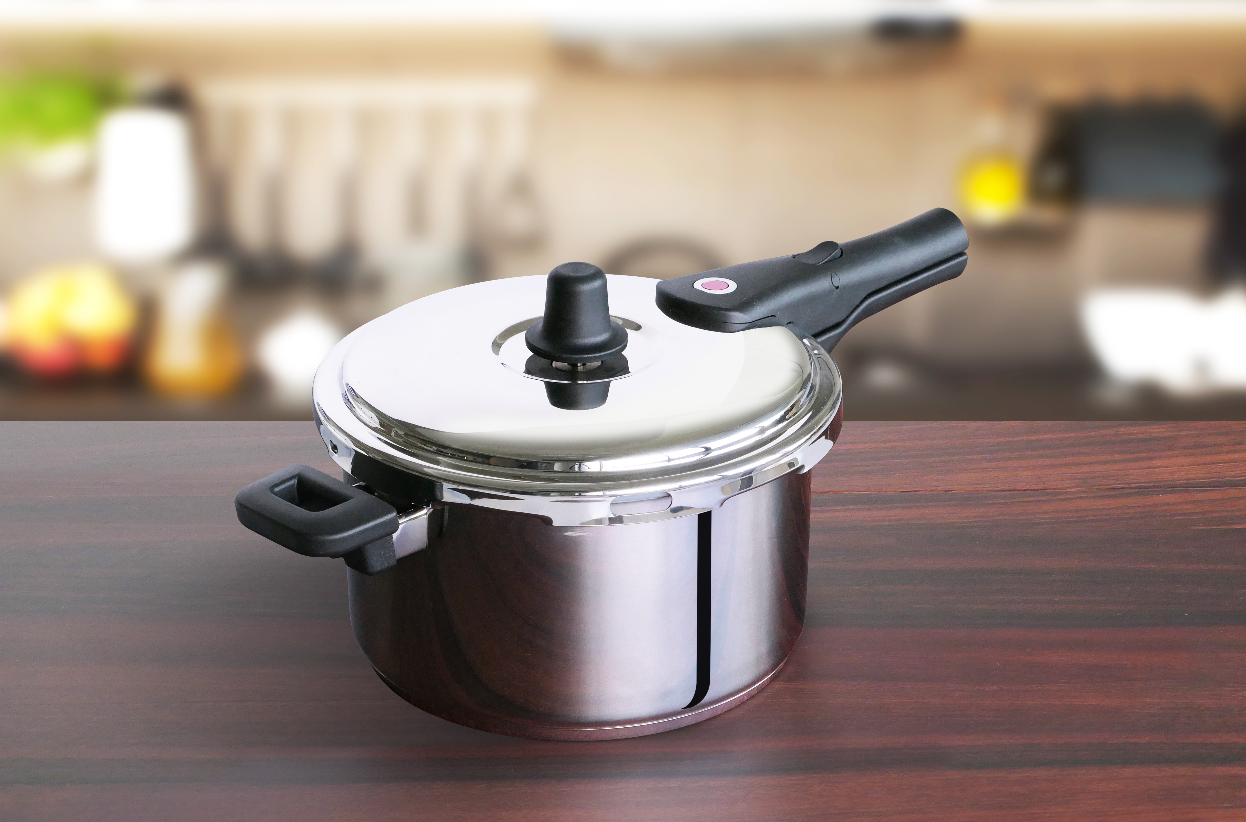 Stainless Steel Pressure Cooker