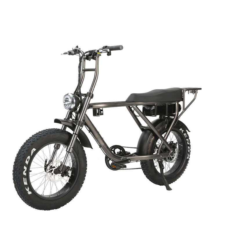 Manufacture 250 500 750 1000W Fat Tire Bike Electric Bicycle High Quality Ebike Step Over Model 20