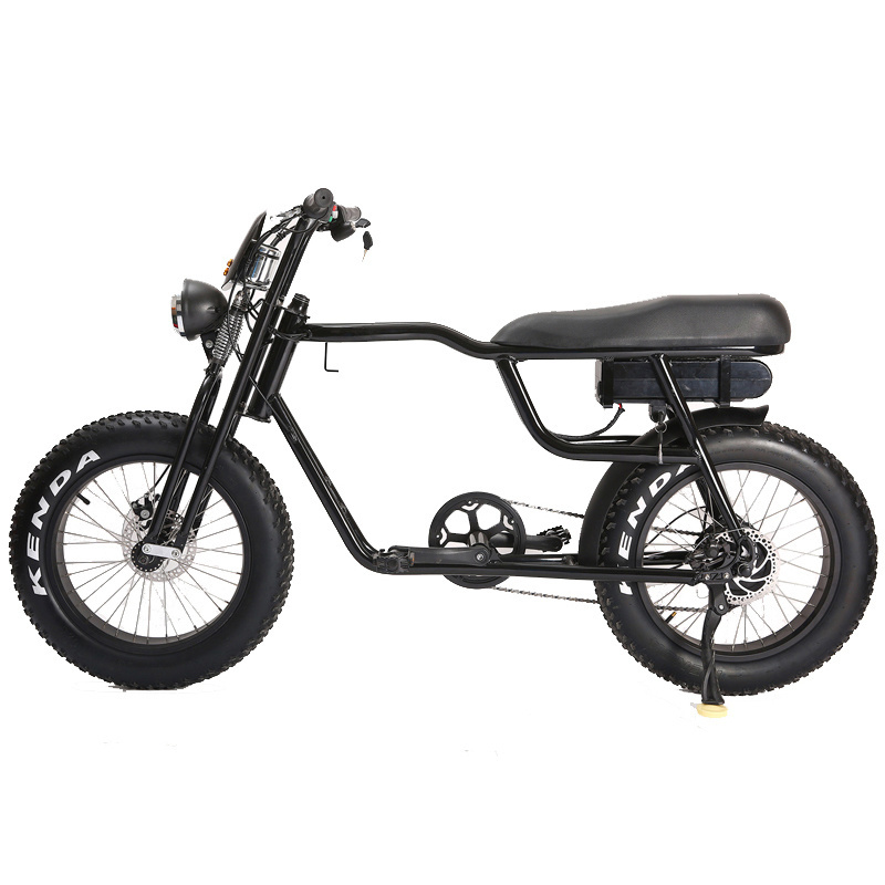 Electric bike Super 36V 48V Electric Bicycle 250W 350W 500W 750W 1000w E bike fat Tire