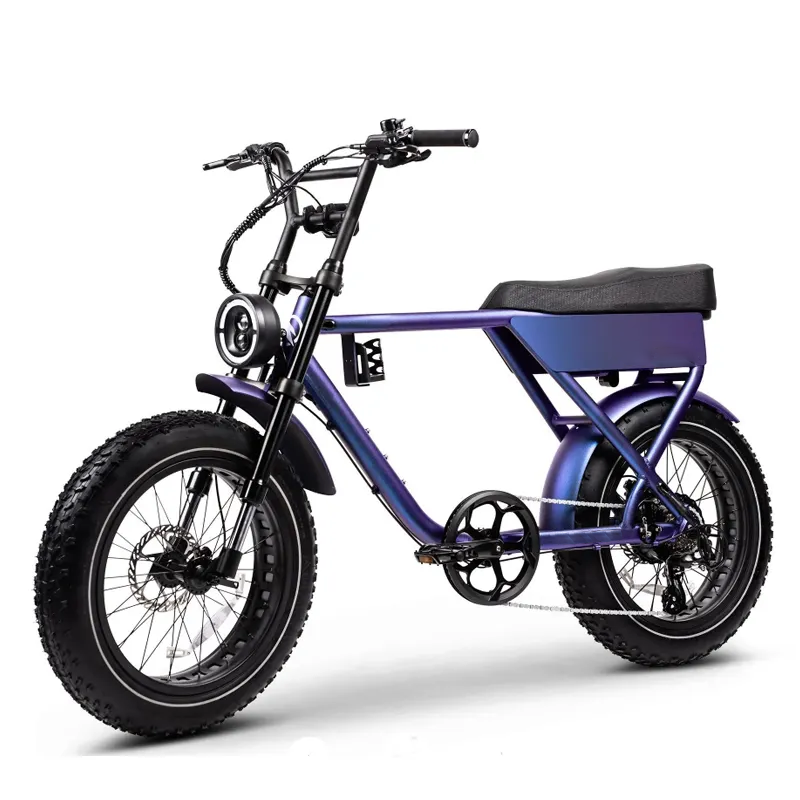 EU USA Warehouse Drop Shipping Super Retro Manufacturer E Bike Electric Hybrid Bike 20