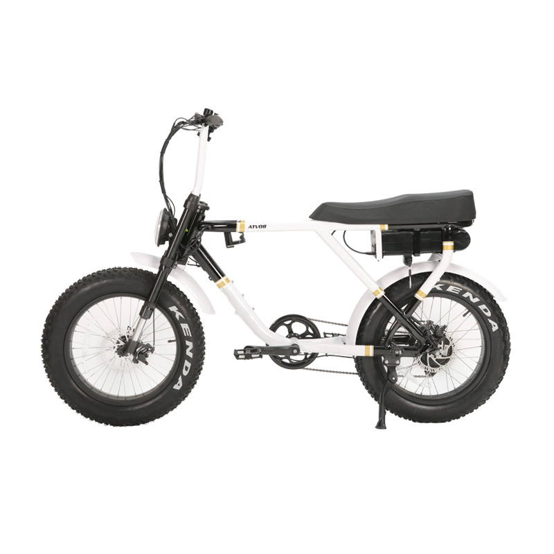 Wholesale Removable Battery Fat Tire Electric Bike Full Suspension Beach Cruiser Super Motorcycle Bicycle Electric Fat Tire Bike