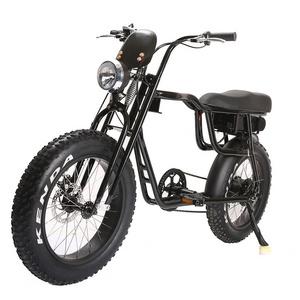 Electric bike Super 36V 48V Electric Bicycle 250W 350W 500W 750W 1000w E bike fat Tire