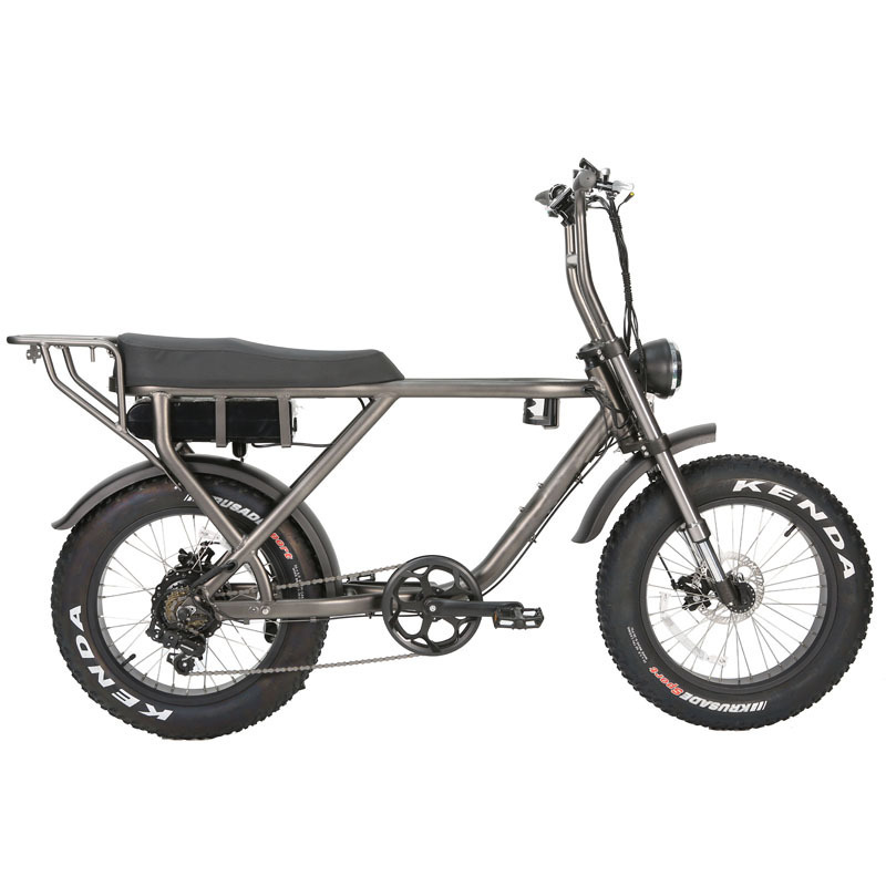 Manufacture 250 500 750 1000W Fat Tire Bike Electric Bicycle High Quality Ebike Step Over Model 20