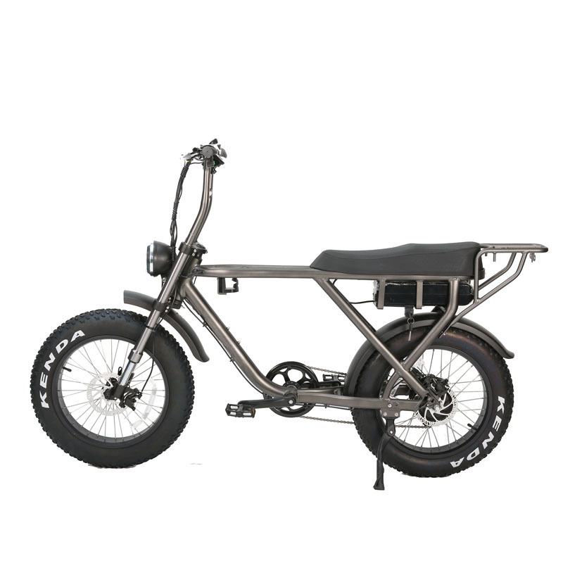 Manufacture 250 500 750 1000W Fat Tire Bike Electric Bicycle High Quality Ebike Step Over Model 20