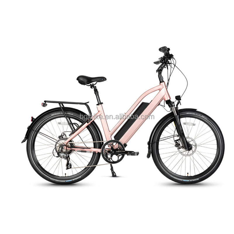 Fat Tyre Down Tube Battery 20*4 inches Electric Bicycle dual suspension e bike bafang fatbike fatbike tires Stars loves