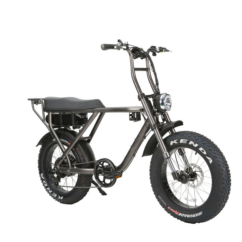 Manufacture 250 500 750 1000W Fat Tire Bike Electric Bicycle High Quality Ebike Step Over Model 20