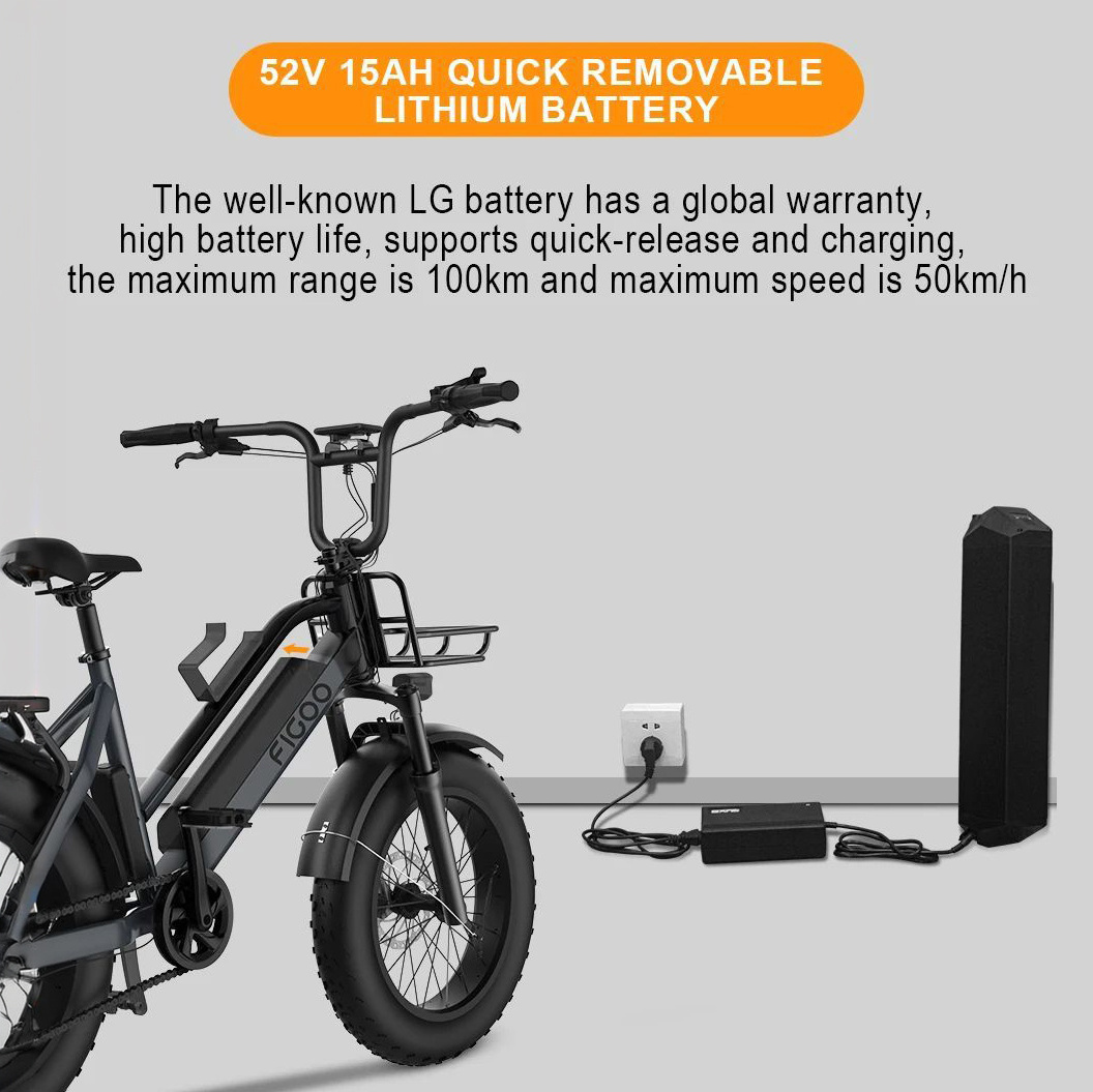 Us Eu Stock V20 Electric Bike With Dual Single Rear Hub Motor 750W Chargeable Adult Hydraulic Disc Brake Electric Bike 10000W