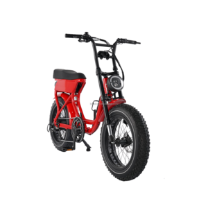 20 Full Suspension Fat Tire eBike 250W Motor Electric Mountain Bike 48V Battery 15Ah 20x4.0 Wheel Adventure Cycling