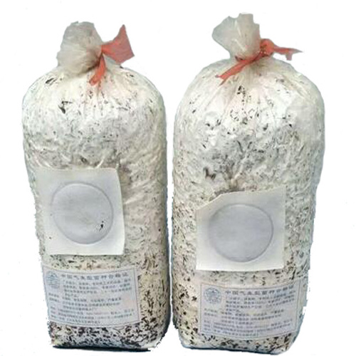 60/80micron Autoclavable Gusseted 0.2/0.5 micron Filter Breathable PP Mushroom Growing Spawn Bag