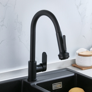 Kitchen Faucet Brass Water Tap Modern Kitchen Taps Brass Pull Out Sprayer Kitchen Sink Faucets