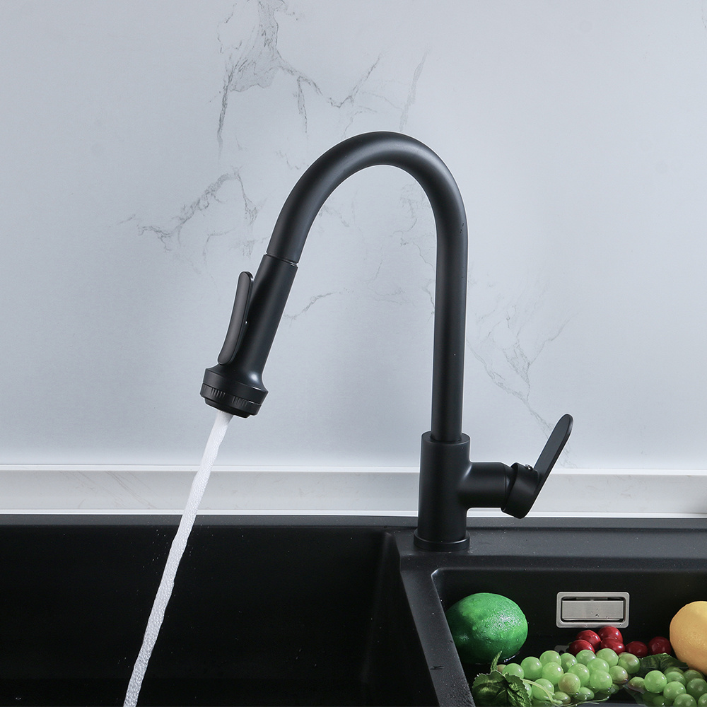 Kitchen Faucet Brass Water Tap Modern Kitchen Taps Brass Pull Out Sprayer Kitchen Sink Faucets