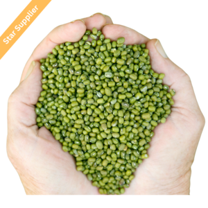 Premium Quality Of Dried Mung Bean/Moong Dal Seed/Sprouting Seeds Mung Bean Indian Origin