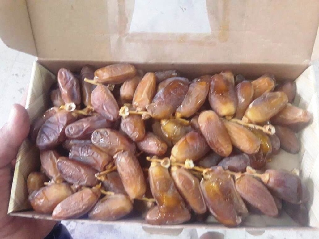 2024 High Quality Organic Tunisian Dates Fresh Hot Selling 'Deglet Noor' for Food Application for Ramadan Celebrations