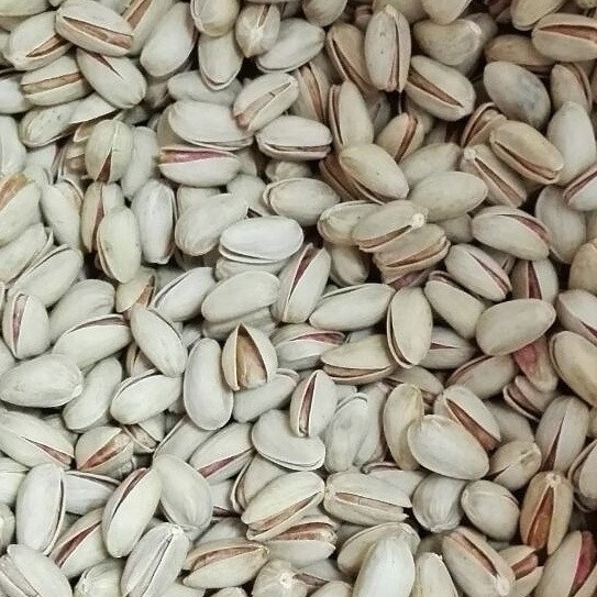 Export Quality Pistachio nuts from Gulf Round Pistachio, Long Pistachio Nuts and Kernels...