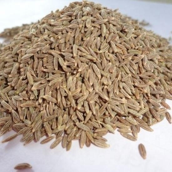 Bulk Selling Natural Whole Cumin Seeds Indian Single Spice Cumin Seeds at Reasonable Price Indian spices