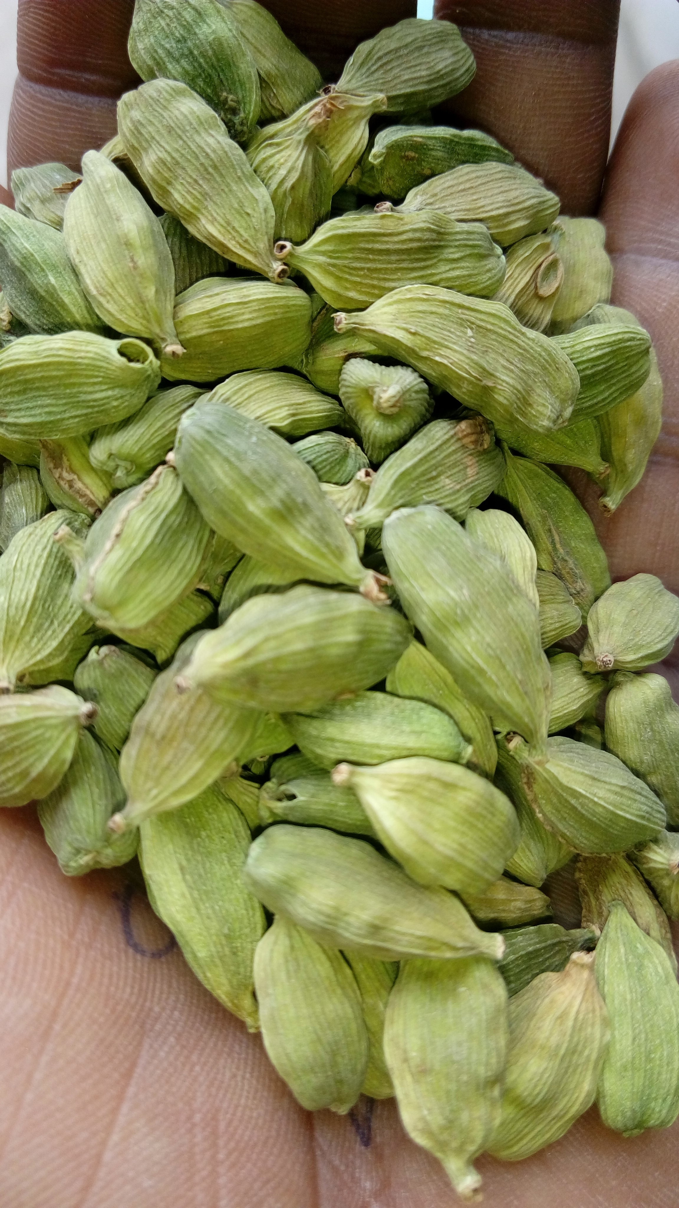 Green Cardamom  - Fresh Green Cardamom - Indian Spices - Cardamom Seeds...