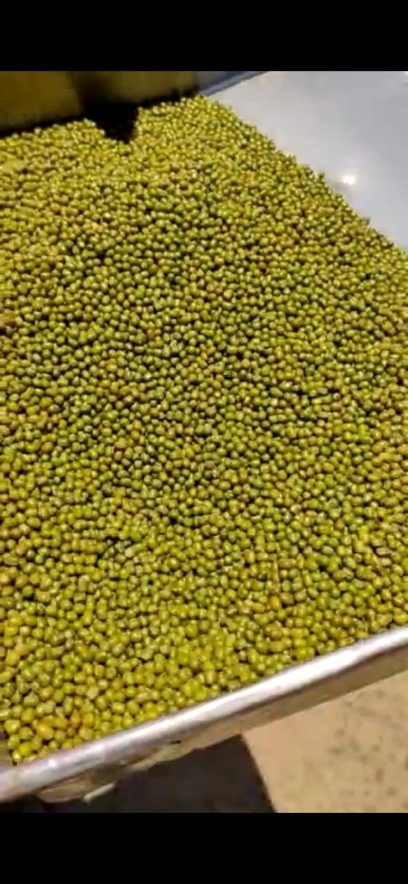 Green Mung Beans Green beans... Grains... Dried Green moong dal Green mung beans...