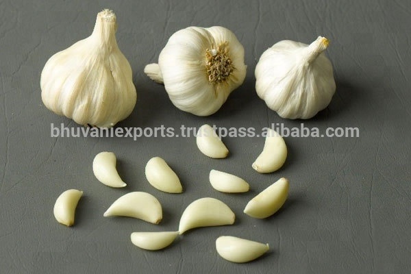 Hot Selling Indian Fresh Garlic 2024 Season/White Whole Garlic/Fresh Indian G1 Garlic!