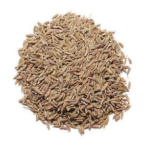 Bulk Selling Natural Whole Cumin Seeds Indian Single Spice Cumin Seeds at Reasonable Price Indian spices