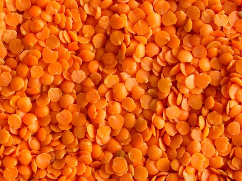 Best Quality Red Lentils Grains Whole and Split Lentils healthy legume lentils wholesale Best price from india.