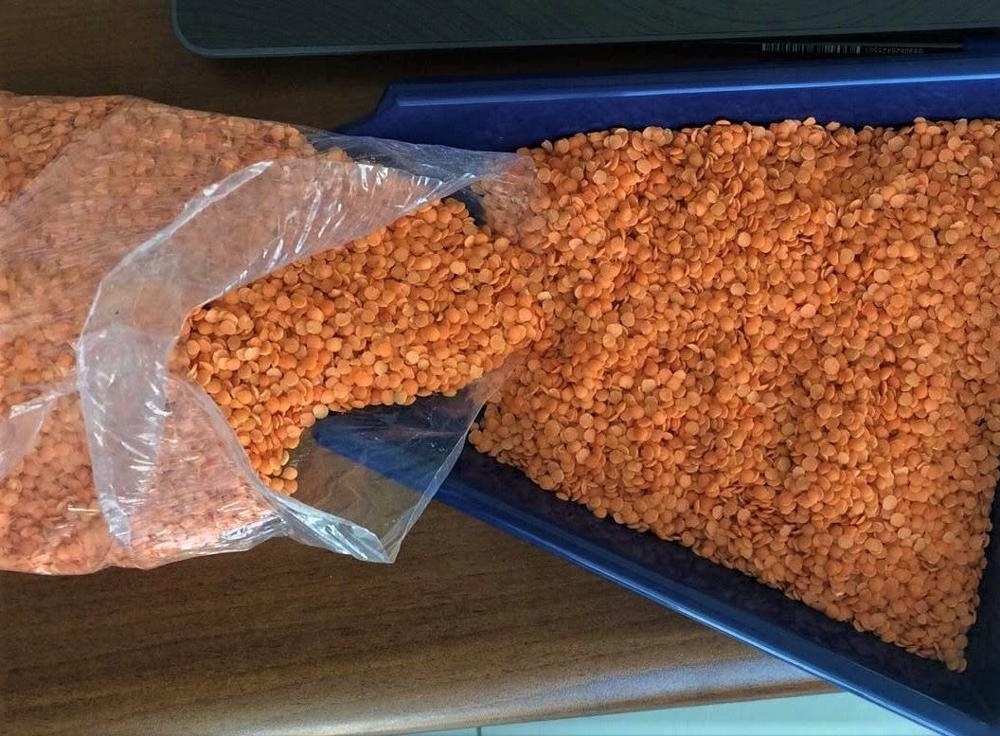 Red Lentils/Grains/Whole and Split Lentils!