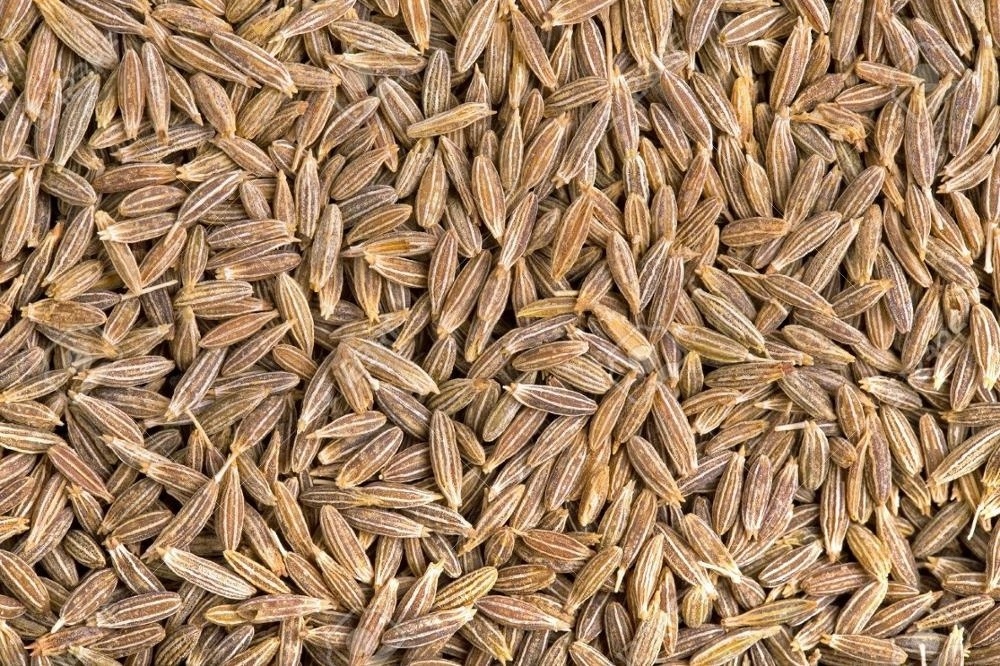 High Quality Indian Cumin Seeds 98-99% - Singapore Quality Indian Cumin Seeds - Indian Jeera Whole!