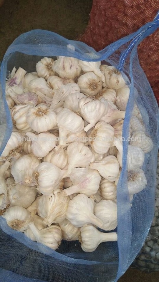 Hot Selling Indian Fresh Garlic 2024 Season/White Whole Garlic/Fresh Indian G1 Garlic!