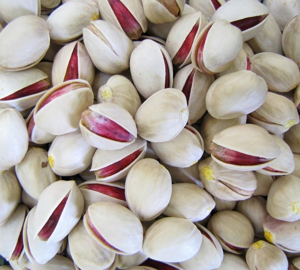 Export Quality Pistachio nuts from Gulf Round Pistachio, Long Pistachio Nuts and Kernels...