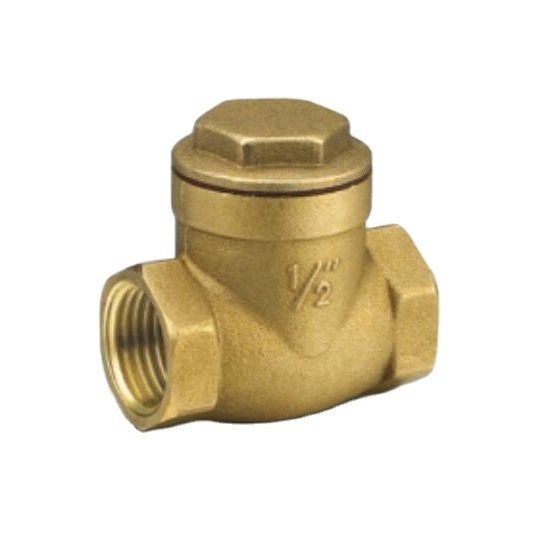 Good quality 1/2inch - 4inch brass type Stainless swing check valve