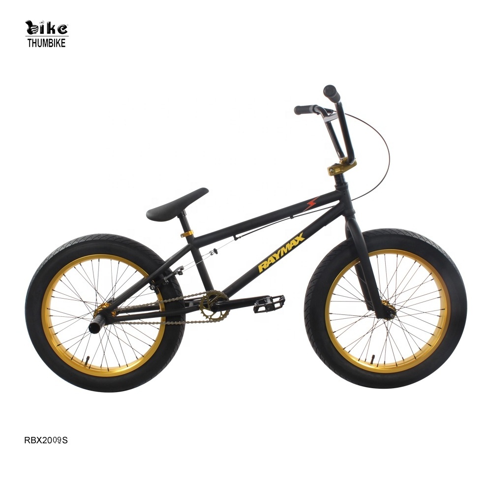 20 Inch Hi-Ten Steel Freestyle BMX Bike Single Speed Stunt Bicycle V Brakes Ordinary Pedal Dirt Jump Aluminum Fork Street Riding