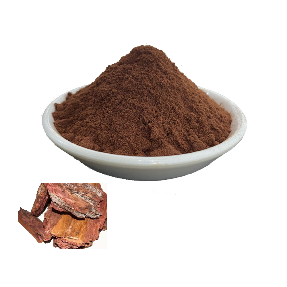 Wholesale Bulk French Maritime Pine Bark Extract High Purity 95% Opc Pine Bark Extract Powder