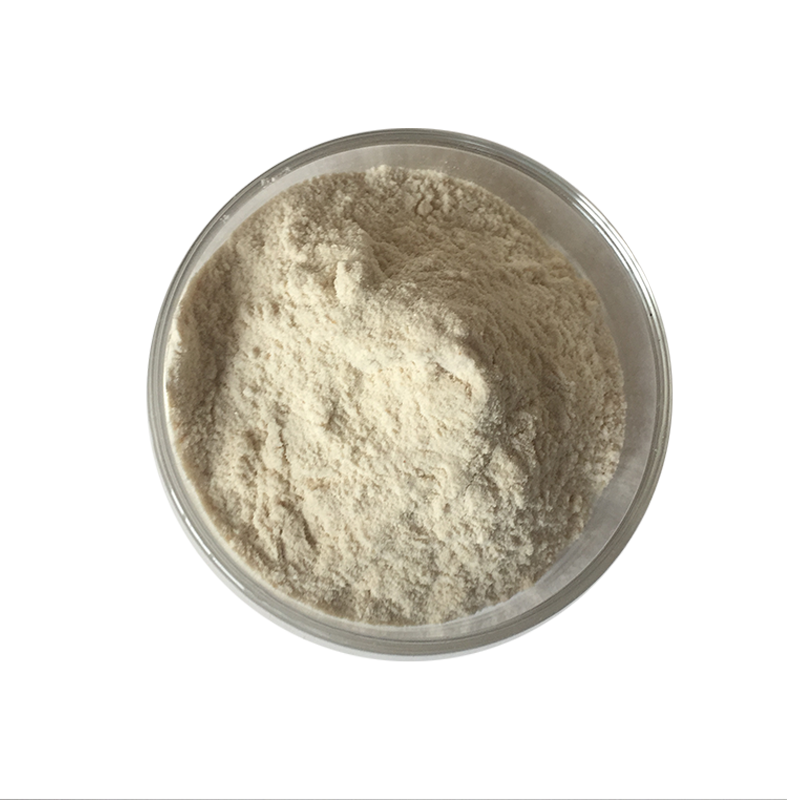 Wholesale 100% Pure Natural good Price Free Sample Kavalactone Root Kava Extract