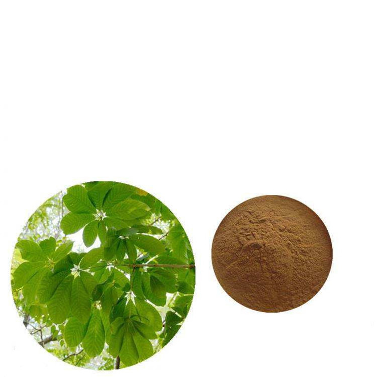 Hiqh Quality Aesculus Hippocastanum Extract 20%-98% Aescin Powder Horse Chestnut Extract