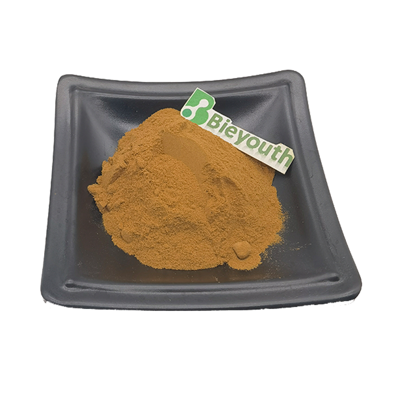 Factory Supply Chanterelle Mushroom Extract Powder Chanterelle Mushroom Extract