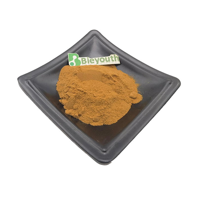 Factory Supply Chanterelle Mushroom Extract Powder Chanterelle Mushroom Extract